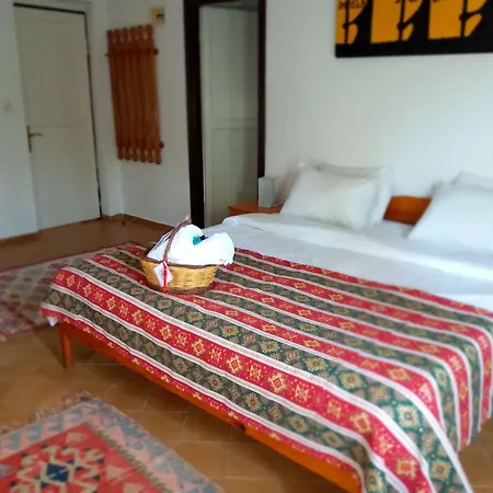 Kilim 酒店 达利安