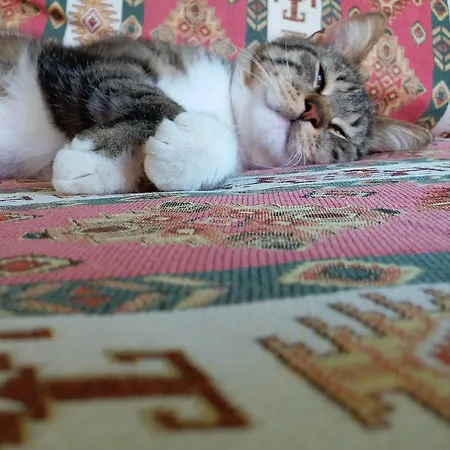 Kilim
